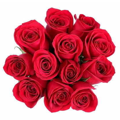 Dozen Roses, Color May Vary