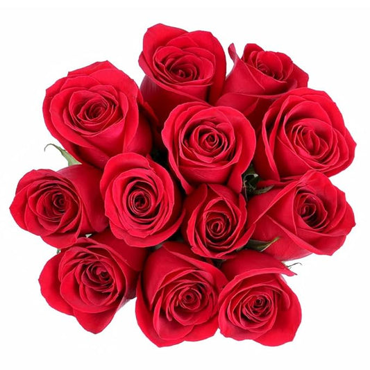 Dozen Roses, Color May Vary