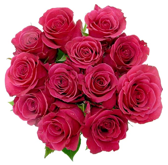 Dozen Roses, Color May Vary