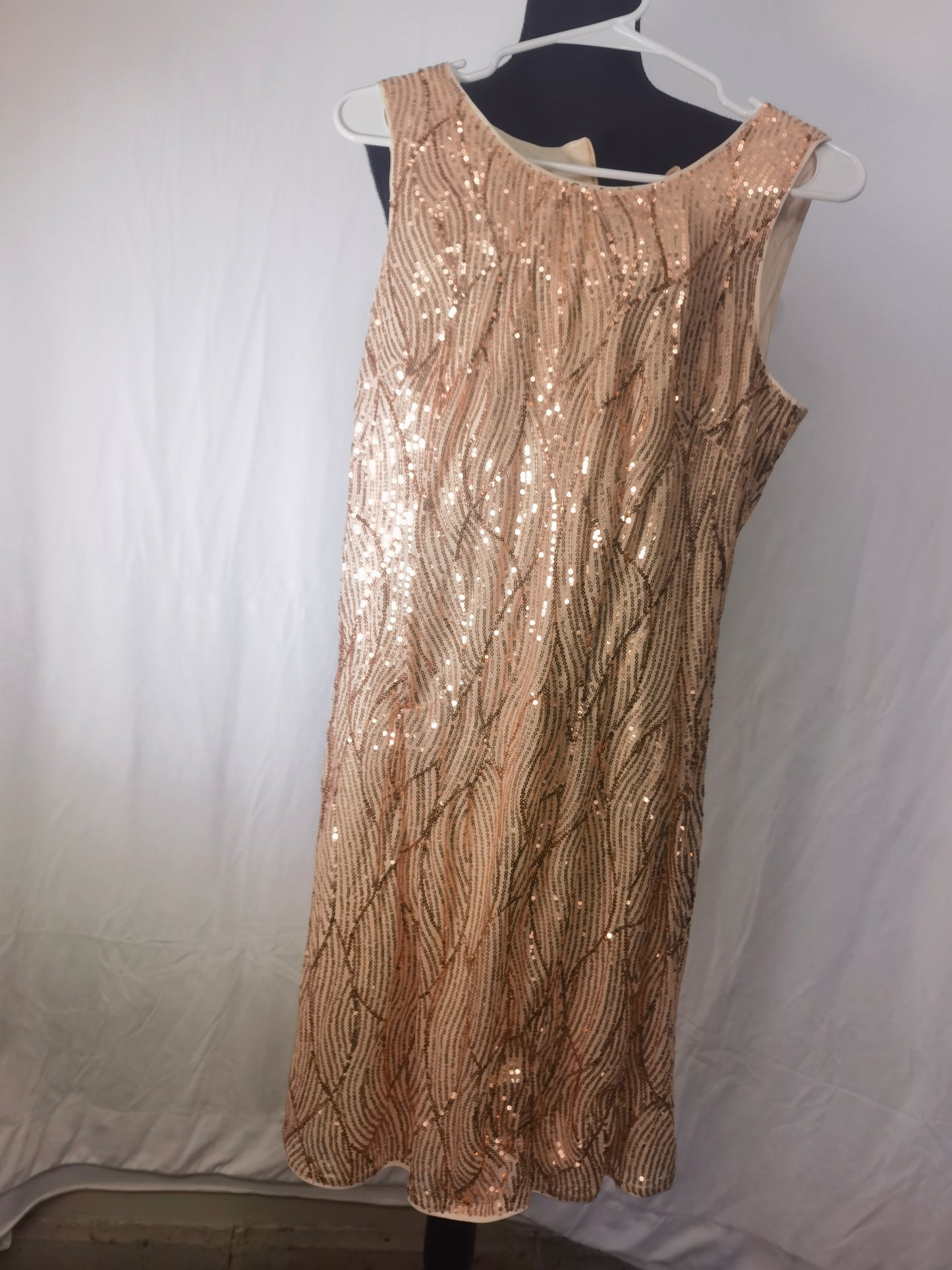 Sandra Darren Women's 1 Pc Sleeveless Embroidered Mesh Sheath Dress Size L