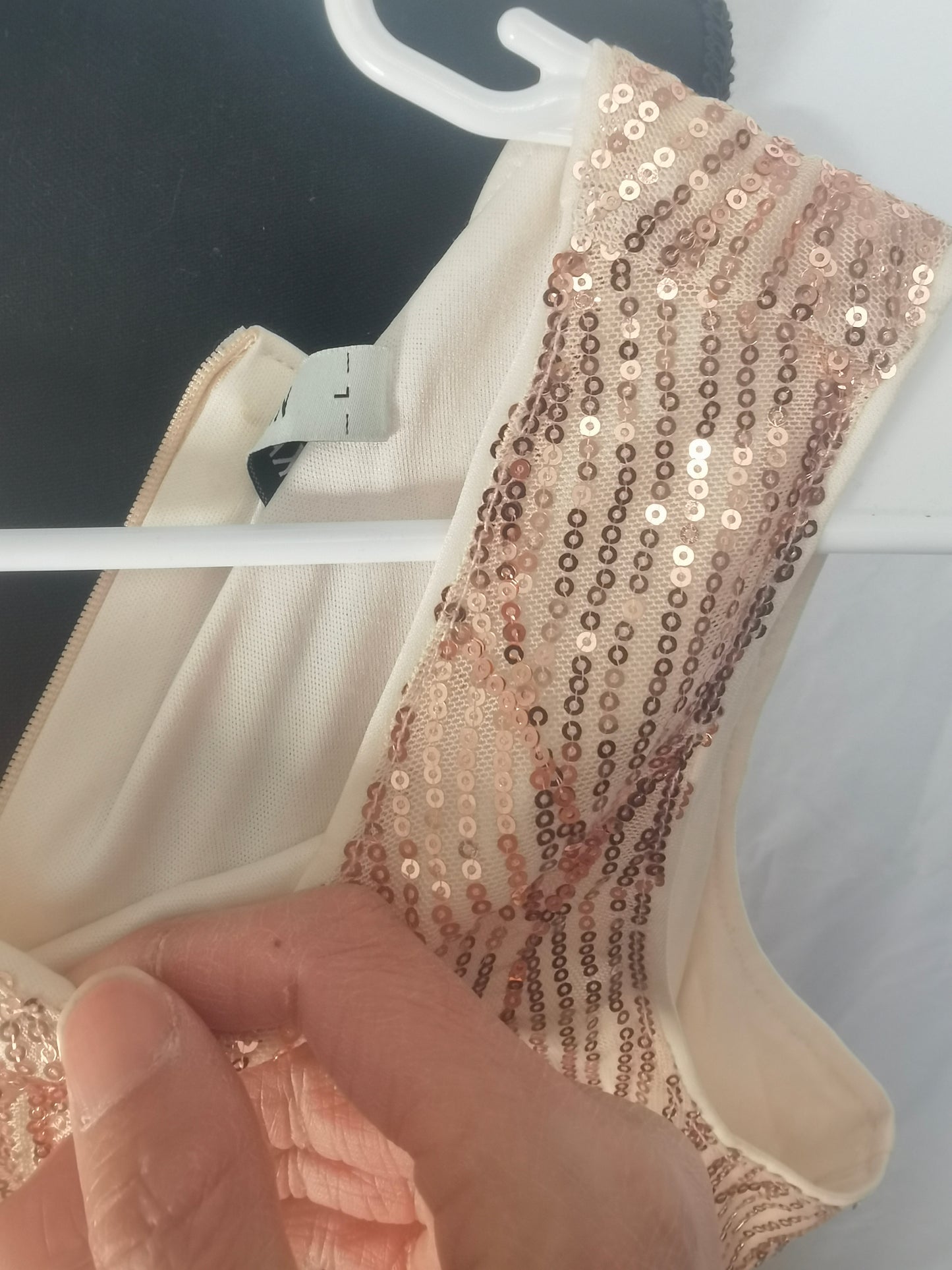 Sandra Darren Women's 1 Pc Sleeveless Embroidered Mesh Sheath Dress Size L