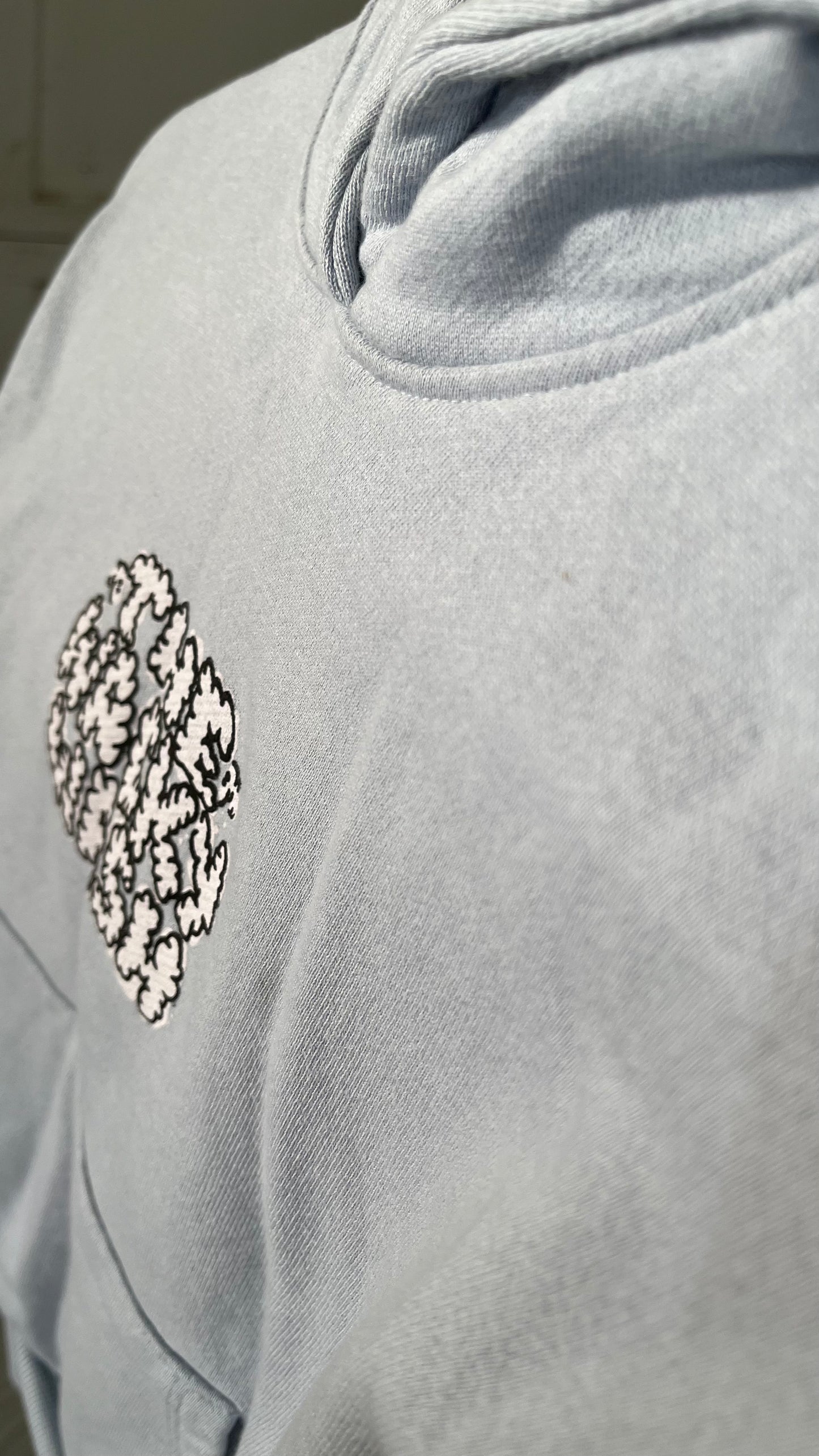 blue The Summer I Turned Pretty - Finch College Pullover Hoodie  Size 8-9