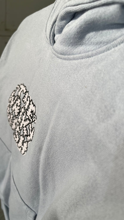 blue The Summer I Turned Pretty - Finch College Pullover Hoodie  Size 8-9