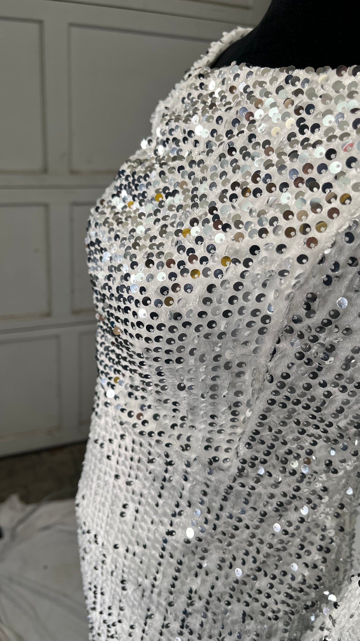 LEIGE Long Sleeve Evening Dreses o-Neck Formal Gowns Sequin Long Sleeved Ladies Annual Meeting (Color : Silver) Size S