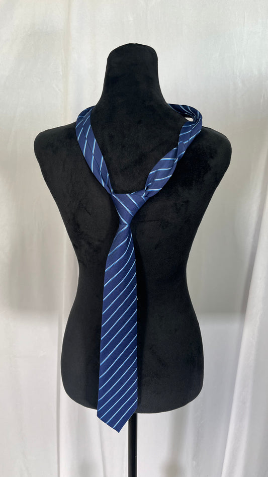 Blue White Striped Tie